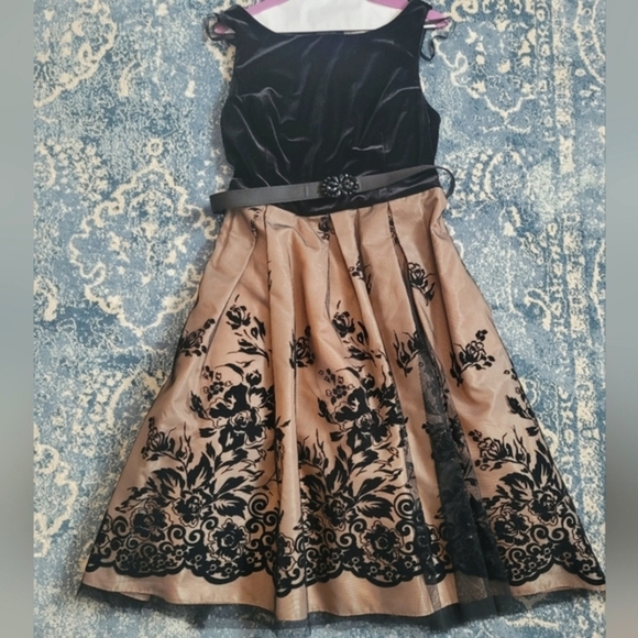 Beautiful Velvet Dress - Picture 1 of 4